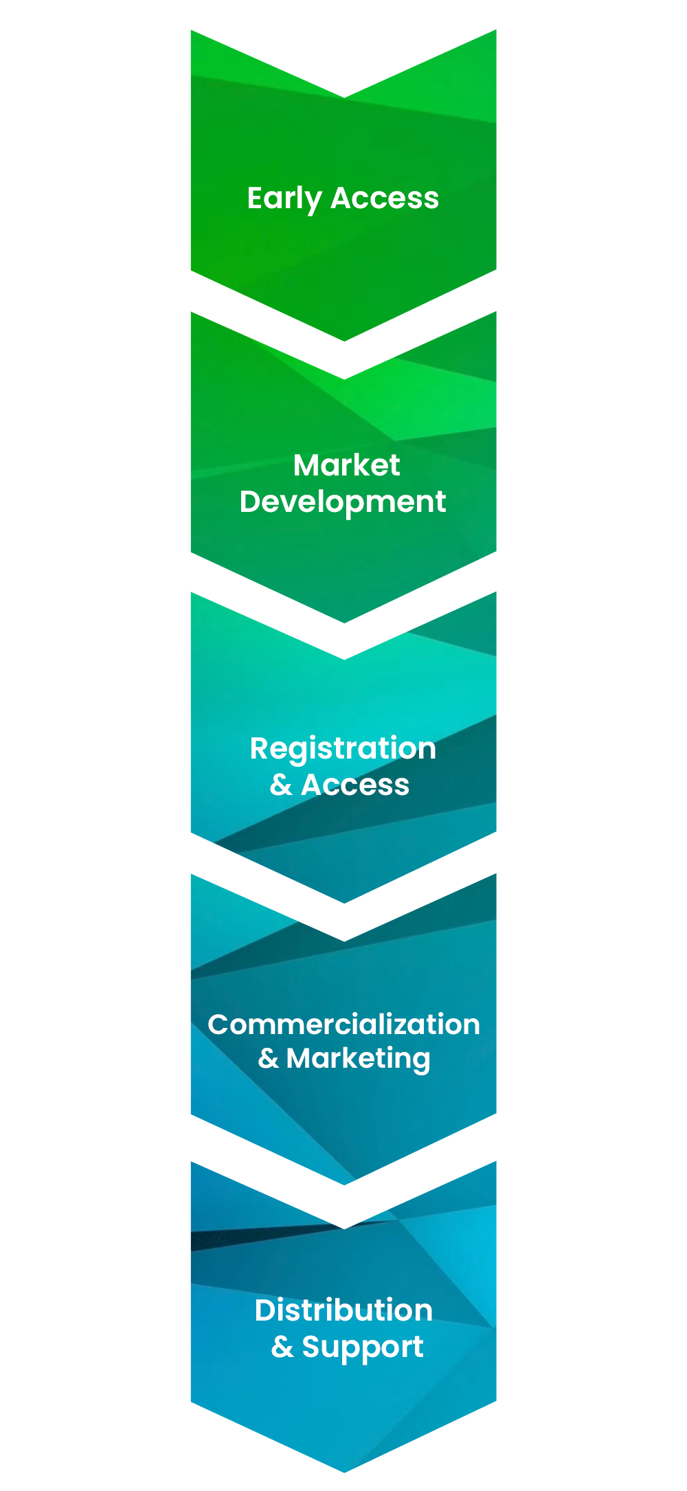 TrueMed capabilities